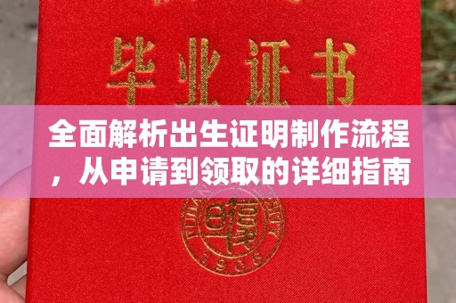 江南全面解析出生证明制作流程，从申请到领取的详细指南