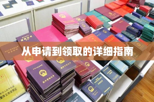 金山从申请到领取的详细指南